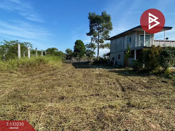 ขายที่ดินเปล่า เนื้อที่ 1 งาน ต.นาตาขวัญ เมืองระยอง