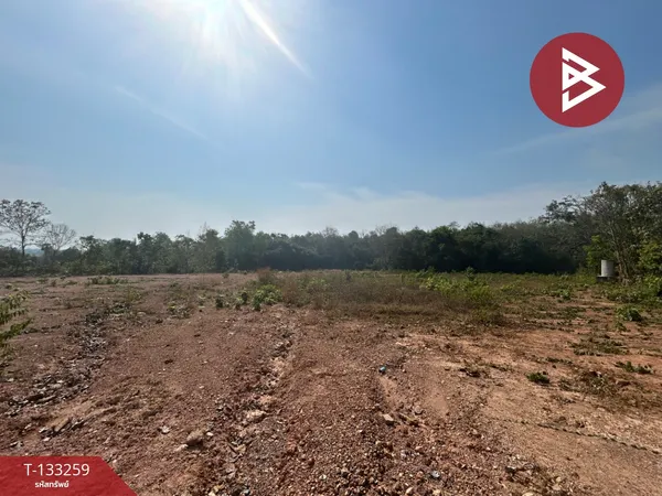 ขายที่ดิน เนื้อที่ 4 ไร่ 1 งาน 50 ตารางวา แกลง ระยอง ทำเลดีติดถนน