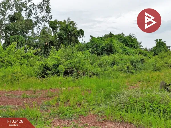 ขายที่ดิน เนื้อที่ 90 ตารางวา คลองเปรง ฉะเชิงเทรา ทำเลดีใกล้สถานีรถไฟ