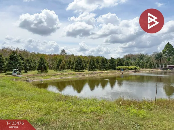 ขายที่ดิน เนื้อที่ 3 ไร่ 1 งาน 16.3 ตารางวา นาเคียน นครศรีธรรมราช