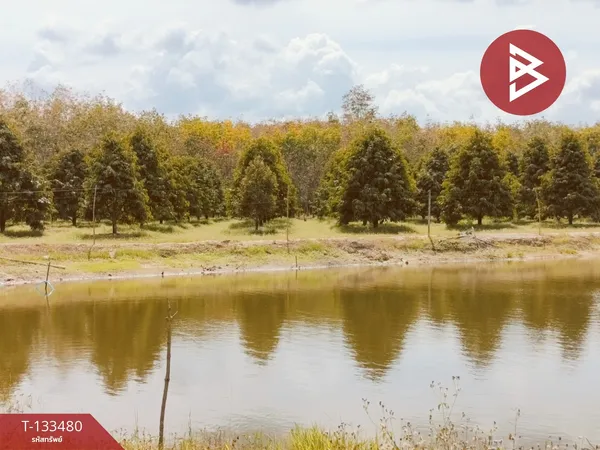 ขายที่ดินพร้อมสวน เนื้อที่ 4 ไร่ 3 งาน 18.3 ตร.วา นาเคียน นครศรีธรรมราช