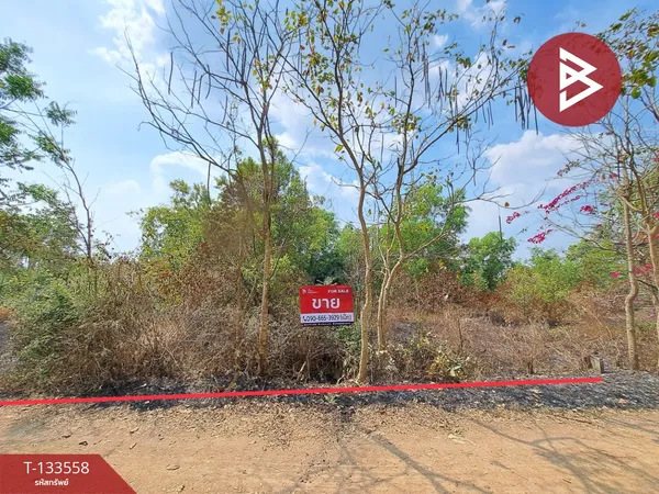 ขายที่ดิน เนื้อที่ 1 งาน 43 ตร.วา บางน้ำเปรี้ยว ฉะเชิงเทรา