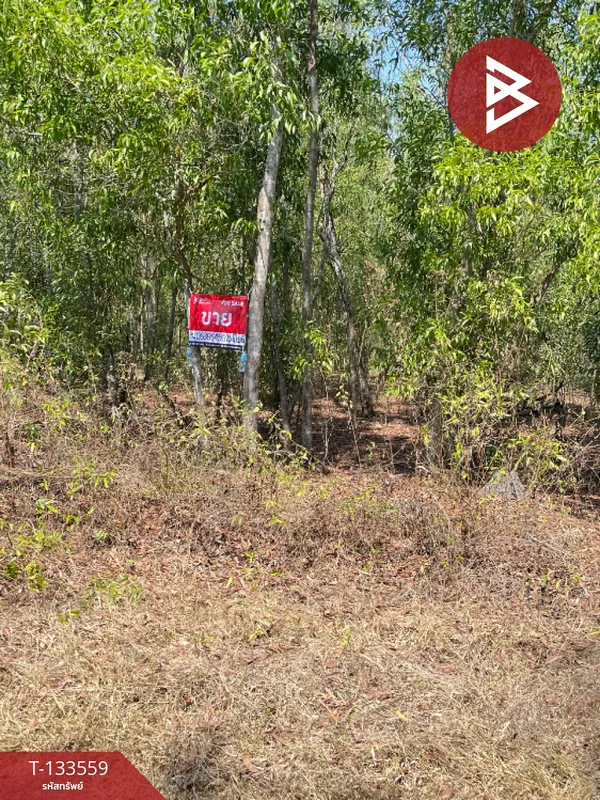 ขายที่ดิน เนื้อที่ 2 ไร่ หนองเสือ ปทุมธานี