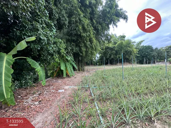 ขายที่ดิน เนื้อที่ 1 ไร่ 3 งาน 26 ตารางวา ห้วยใหญ่ บางละมุง ชลบุรี