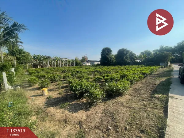 ขายที่ดิน เนื้อที่ 3 งาน คลองขลุง กำแพงเพชร