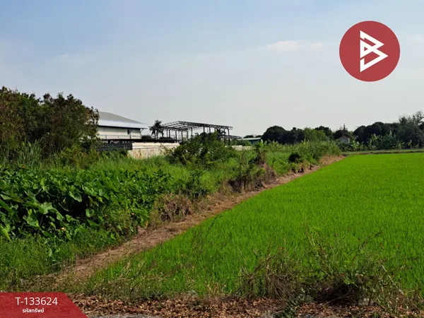 ขายที่ดิน เนื้อที่ 1 งาน 5 ตร.วา ไทรน้อย นนทบุรี