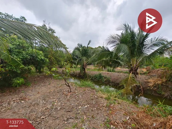 ขายที่ดิน เนื้อที่ 2 งาน 33 ตร.วา พระประแดง สมุทรปราการ