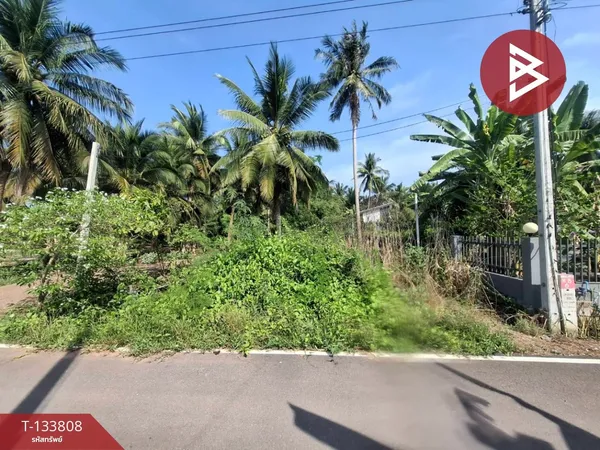 ขายที่ดิน เนื้อที่ 201.8 ตารางวา คลองเขิน สมุทรสงคราม ติดถนนสาธารณะ