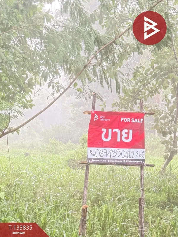 ขายที่ดิน เนื้อที่ 1 งาน 38.7 ตารางวา หนองแหย่ง สันทราย เชียงใหม่