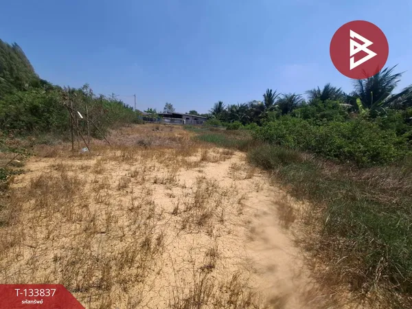 ขายที่ดิน เนื้อที่ 1 งาน 20 ตร.วา คูบัว ราชบุรี