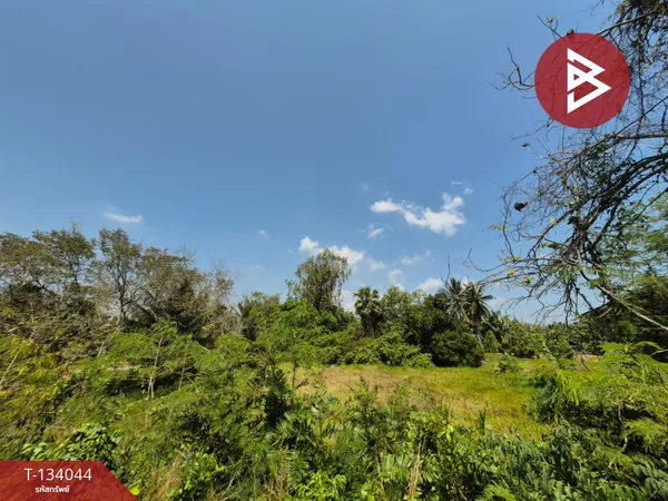 ขายที่ดินเปล่า เนื้อที่ 1 ไร่ อ.พุนพิน สุราษฎร์ธานี อยู่ใกล้กองบิน 7 สนามบิน