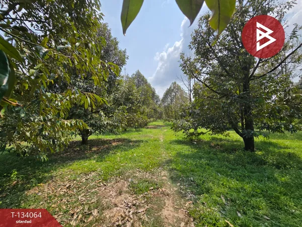 ขายที่ดิน เนื้อที่ 7 ไร่ 1 งาน 32 ตร.วา ท่าใหม่ จันทบุรี