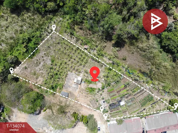 ขายที่ดิน เนื้อที่ 2 ไร่ 59 ตร.วา ศรีมหาโพธิ ปราจีนบุรี