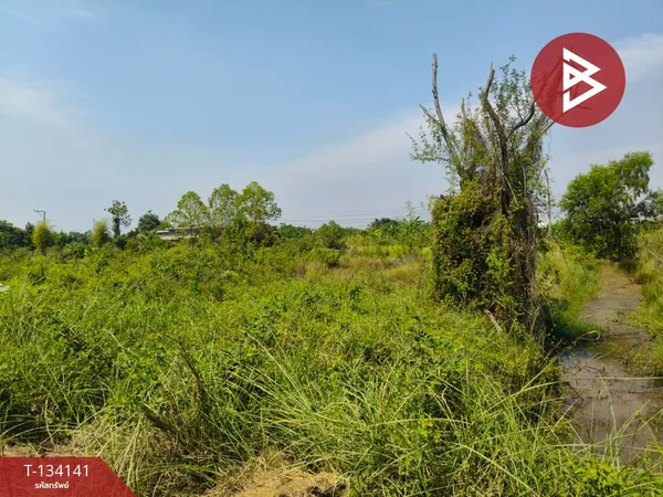 ขายด่วนที่ดิน เนื้อที่ 7 ไร่ 3 งาน 61 ตารางวา องครักษ์ นครนายก