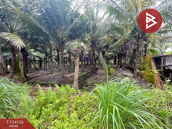 ขายที่ดิน เนื้อที่ 7 ไร่ 2 งาน 7.7 ตร.วา ปากท่อ ราชบุรี