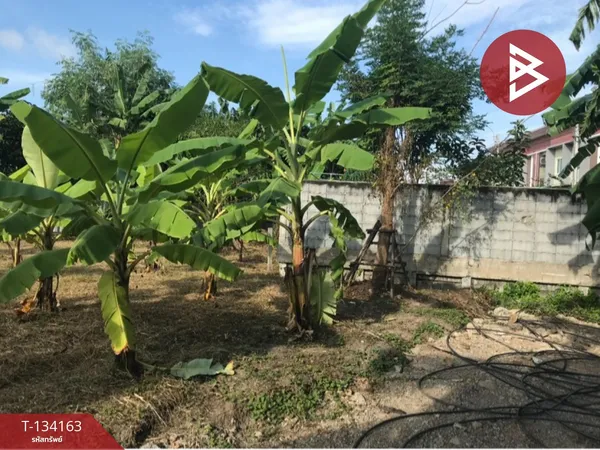 ขายที่ดิน เนื้อที่ 95 ตร.วา บางบัวทอง นนทบุรี