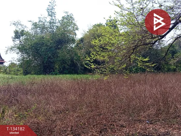 ขายที่ดิน เนื้อที่ 2 ไร่ 2 งาน 31 ตร.วา แหลมสิงห์ จันทบุรี