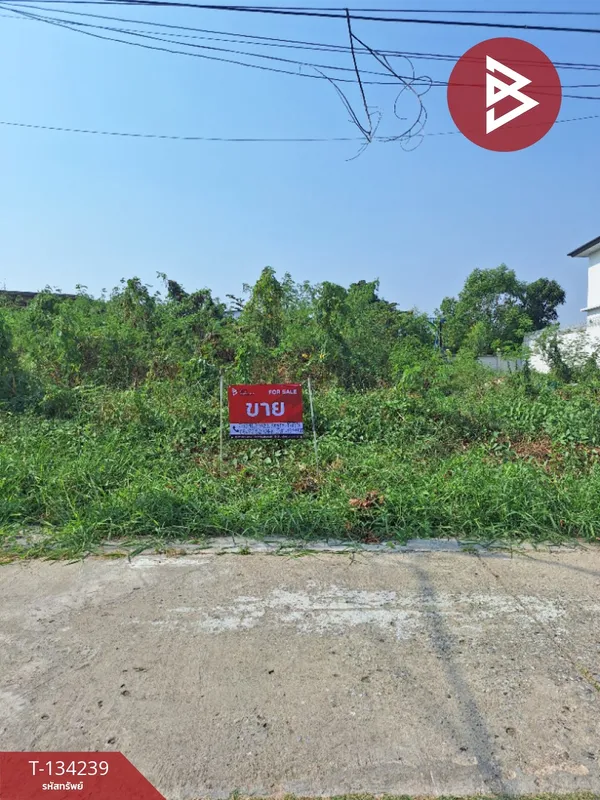 ขายที่ดิน เนื้อที่ 1 งาน 34 ตร.วา บางเมือง สมุทรปราการ