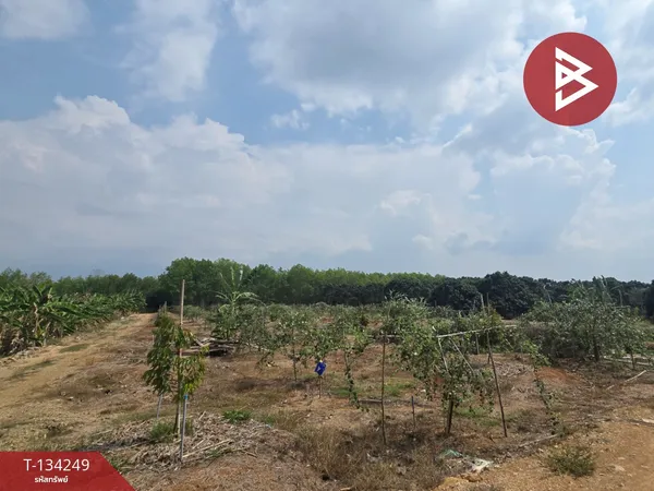 ขายที่ดิน เนื้อที่ 5 ไร่ 76 ตารางวา สอยดาว จันทบุรี