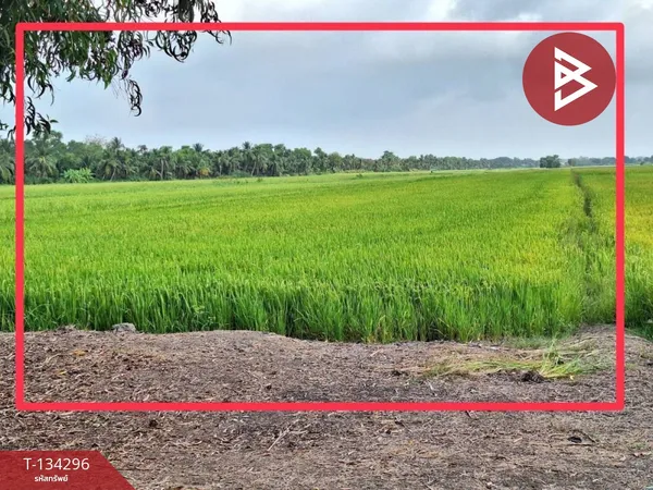 ขายที่ดิน เนื้อที่ 8 ไร่ 2 งาน 7 ตารางวา ลำลูกกา ปทุมธานี