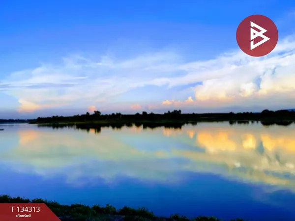 ขายที่ดิน เนื้อที่ 8 ไร่ 1 งาน 95 ตารางวา กุดจับ อุดรธานี ติดถนนทุ่งหนองนามน