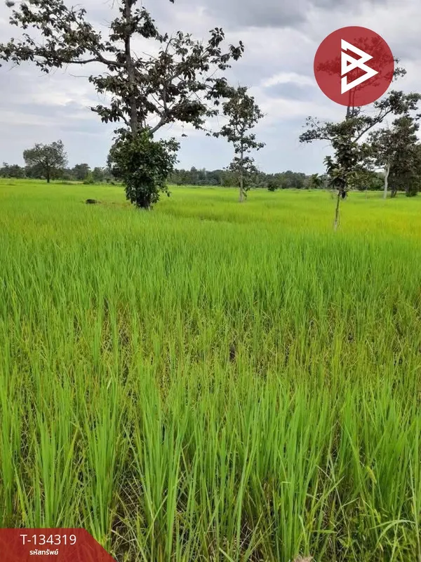 ขายที่ดินเปล่า เนื้อที่ 8 ไร่ 98.6 ตร.วา บุ่ง อำนาจเจริญ