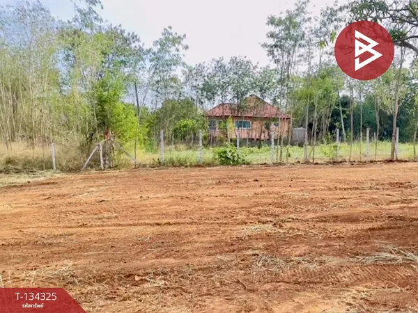 ขายที่ดิน เนื้อที่ 2 งาน 16 ตารางวา ปากช่อง นครราชสีมา