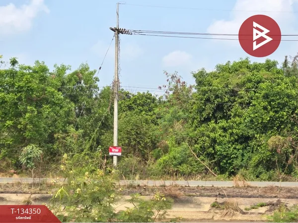 ขายที่ดิน เนื้อที่ 3 งาน 41 ตร.วา แปลงยาว ฉะเชิงเทรา