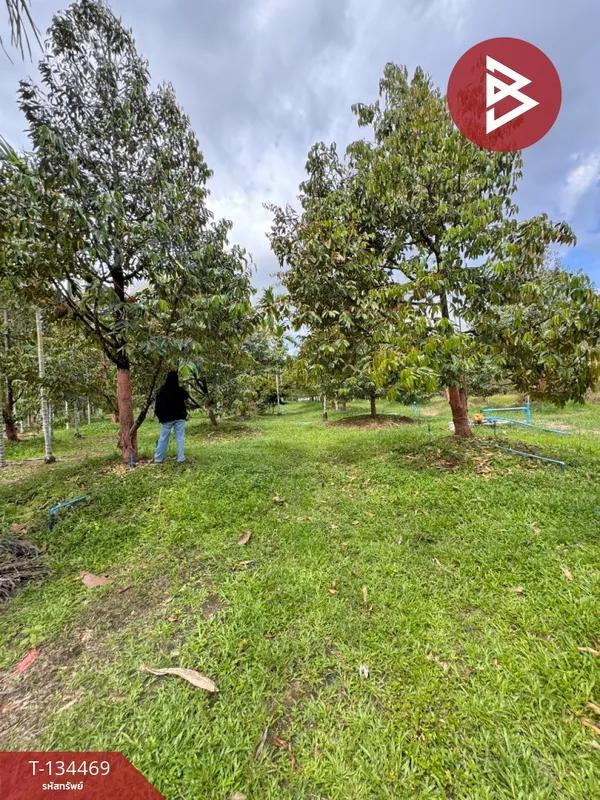 ขายที่ดิน เนื้อที่ 2 ไร่ 2 งาน 71 ตร.วา เขาคิชฌกูฏ จันทบุรี