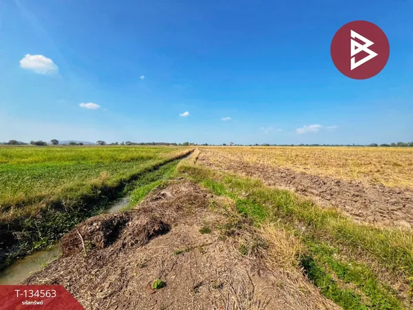 ขายที่ดินที่นา เนื้อที่ 4 ไร่ 13 ตารางวา ต.ตลุก อ.สรรพยา จ.ชัยนาท