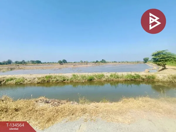 ขายที่ดิน เนื้อที่ 4 ไร่ 2 งาน 2.1 ตร.วา สองพี่น้อง สุพรรณบุรี