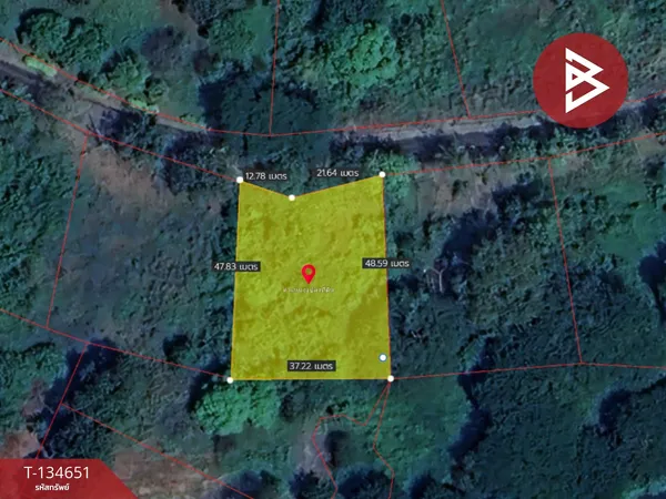 ขายที่ดิน เนื้อที่ 1 ไร่ 75 ตร.วา แก่งหางแมว จันทบุรี