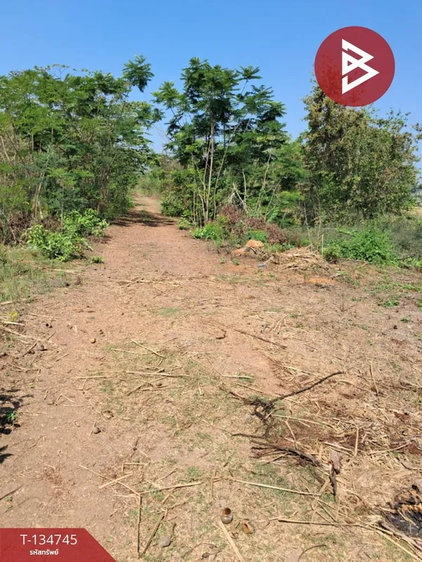 ขายที่ดิน เนื้อที่ 1 งาน บางบัวทอง นนทบุรี