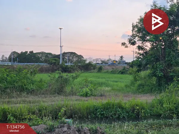 ขายด่วนที่ดิน 1 ไร่ 3 งาน 67 ตารางวา ต.โพรงมะเดื่อ นครปฐม ใกล้ทางขึ้น M81