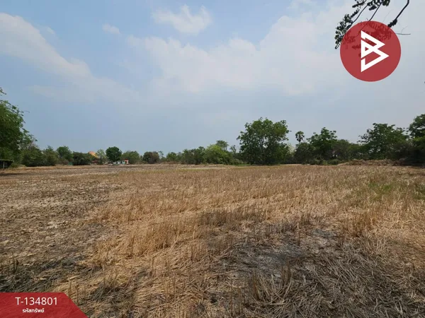 ขายที่ดิน เนื้อที่ 8 ไร่ 3 งาน 46.0 ตารางวา มาบไผ่ บ้านบึง ชลบุรี