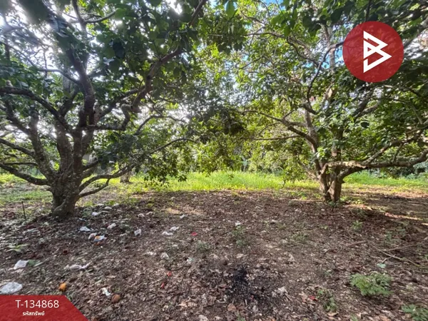 ขายที่ดิน เนื้อที่ 3 ไร่ 2 งาน 97.4 ตร.วา ท่าใหม่ จันทบุรี