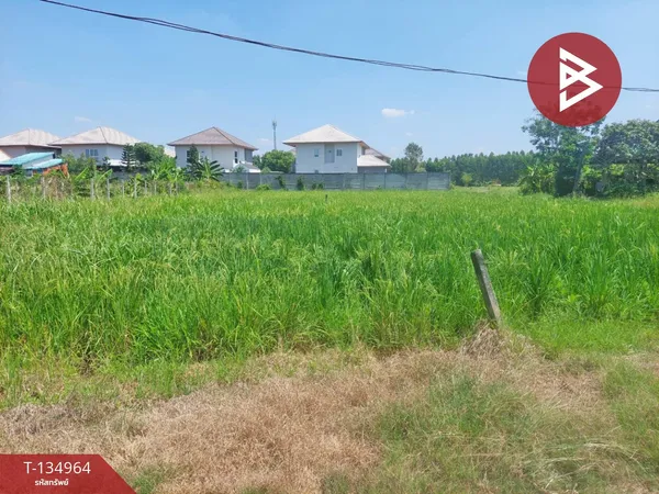 ขายที่ดิน เนื้อที่ 50 ตร.วา หนองจอก กรุงเทพมหานคร