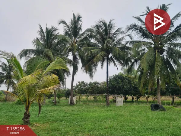 ขายที่ดินพร้อมสวนผลไม้ เนื้อที่ 3 ไร่ 3 งาน 20 ตารางวา พนัสนิคม ชลบุรี