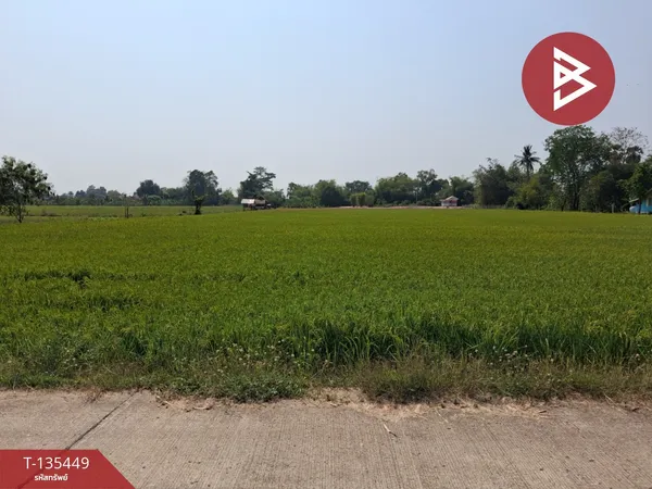 ขายที่ดิน เนื้อที่ 6 ไร่ 14 ตร.วา วังทอง พิษณุโลก