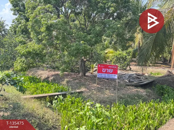 ขายที่ดินสวนผสม เนื้อที่ 5 ไร่ 3 งาน 2 ตารางวา อ.อัมพวา สมุทรสงคราม