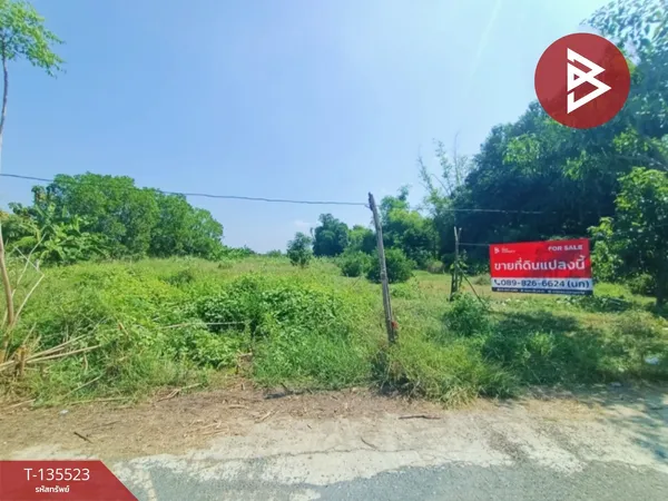 ขายที่ดิน เนื้อที่ 2 ไร่ โพธิ์ทอง อ่างทอง