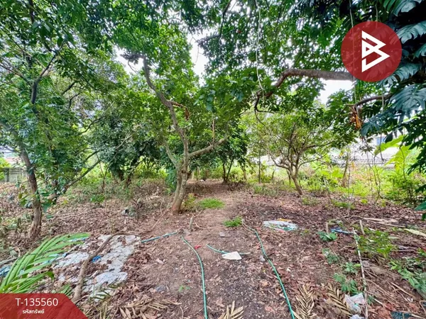 ขายที่ดิน เนื้อที่ 364 ตารางวา ซอยหนองค้อ 10 ศรีราชา ชลบุรี