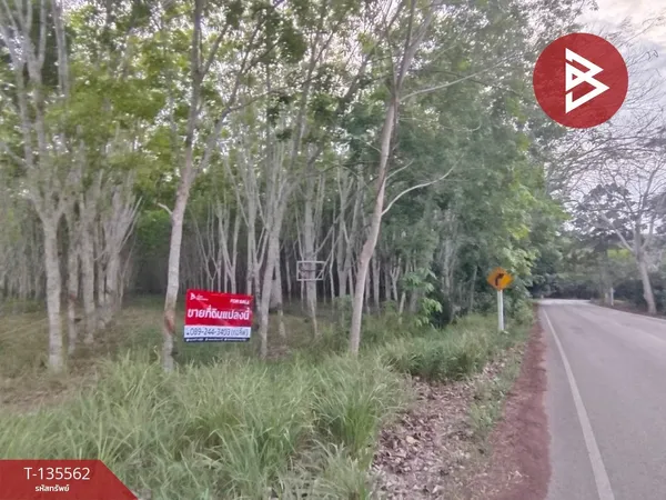 ขายที่ดิน เนื้อที่ 5 ไร่ 29 ตร.วา แกลง ระยอง