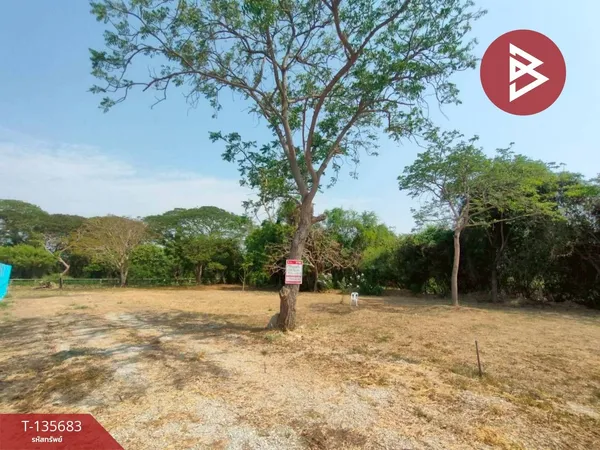 ขายที่ดิน เนื้อที่ 1 งาน 36 ตารางวา อ.บางปะกง ฉะเชิงเทรา