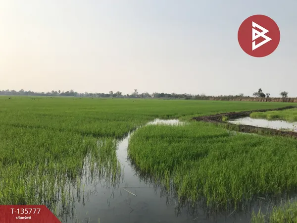 ขายที่ดิน เนื้อที่ 10 ไร่ 2 งาน 75 ตร.วา ปากกราน พระนครศรีอยุธยา