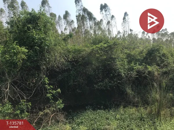 ขายที่ดิน เนื้อที่ 1 ไร่ 50 ตารางวา บ้านโพธิ์ ฉะเชิงเทรา