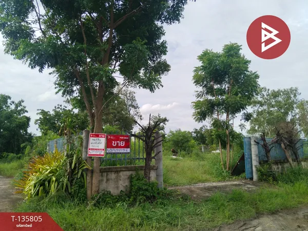 ขายที่ดิน เนื้อที่ 1 งาน 92.9 ตร.วา พนัสนิคม ชลบุรี