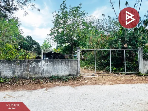 ขายที่ดิน เนื้อที่ 1 งาน 95 ตร.วา บางละมุง ชลบุรี