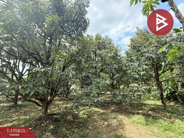 ขายที่ดินสวนทุเรียน เนื้อที่ 301.5 ตร.วา ซ.คลองหลอด 1 ต.ท่าช้าง จ.จันทบุรี