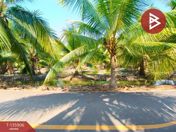 ขายที่ดิน เนื้อที่ 1 ไร่ 3 งาน 11 ตร.วา อัมพวา สมุทรสงคราม